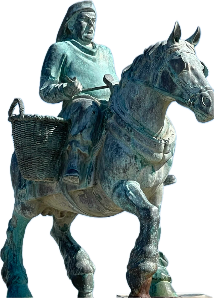 Pêcheur de crevettes 